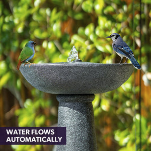 Protege Bird Bath Solar Water Feature Fountain Contemporary Birdbath Design With Panel Kit Led Lights Dark Grey