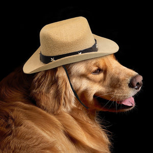 Small Medium Dogs Adjustable Cute Cowboy Pet Hat