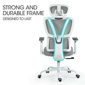 Fortia Ergonomic Office Desk Chair Coolmesh Fabric Lumbar Support Headrest Armrest And Recline White Mesh/Grey Frame