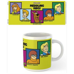 Scooby Doo Meddling Kids Mug