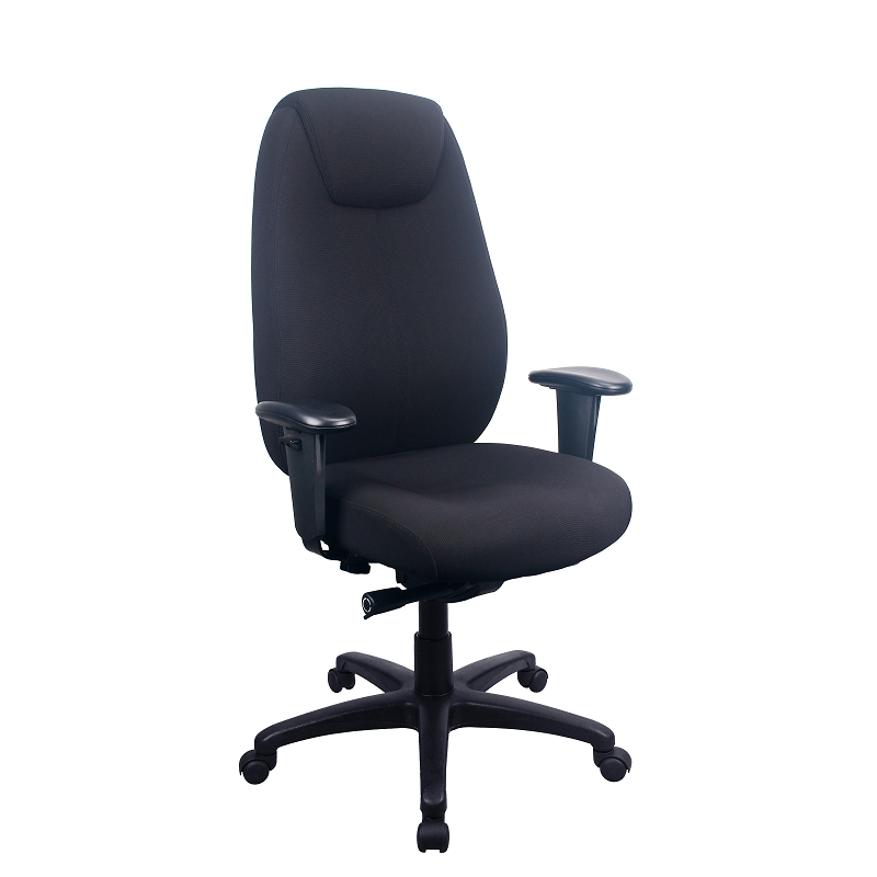 Tempur 6400 Lumbar Support Chair