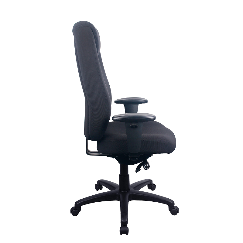 Tempur 6400 Lumbar Support Chair