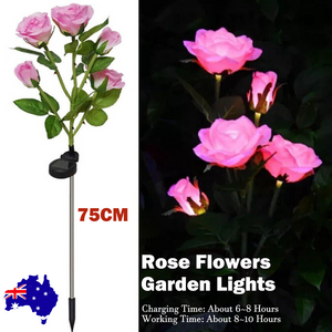 Pink Bulk Solar Garden Lights 75Cm Long Rose Flowers Yard Lamp Xmas Halloween Deco Au