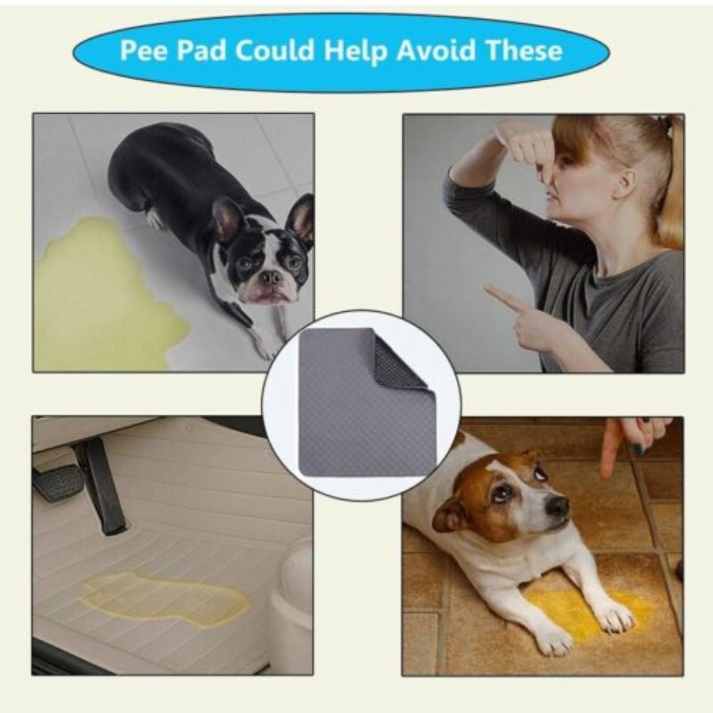 70 X 50Cm Washable Pet Dog Pee Pad Reusable Cat Puppy Training Wee Absorbent Mat Pads Bed