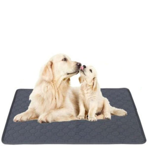 70 X 50Cm Washable Pet Dog Pee Pad Reusable Cat Puppy Training Wee Absorbent Mat Pads Bed