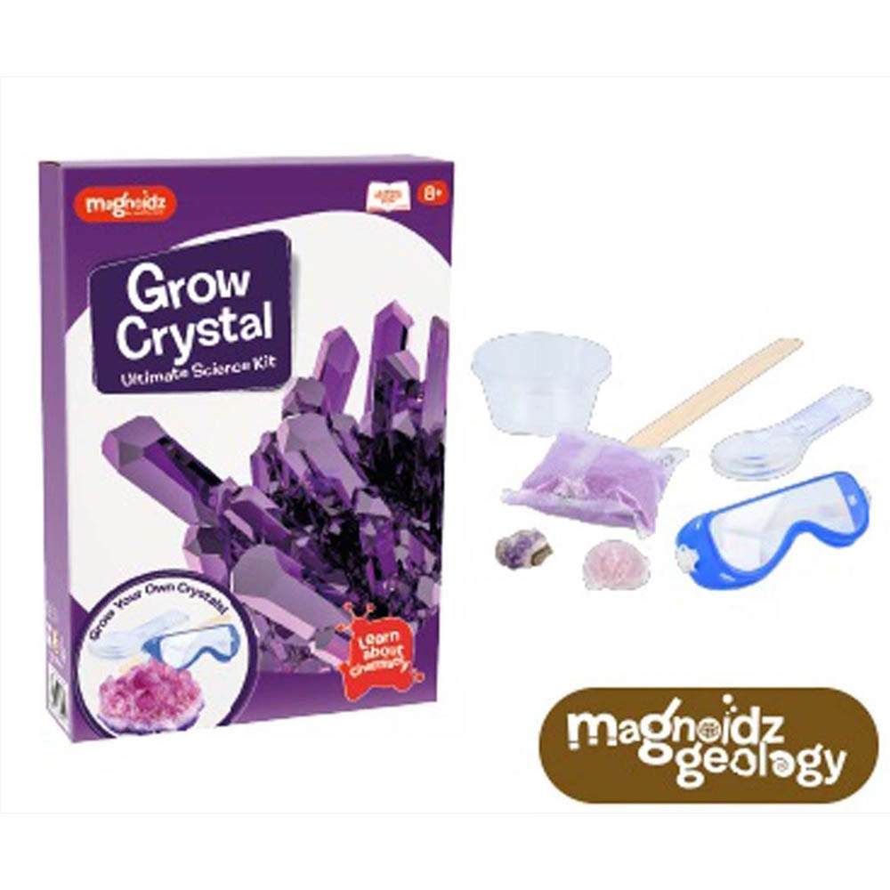 Magnoidz Crystal Growing Kit