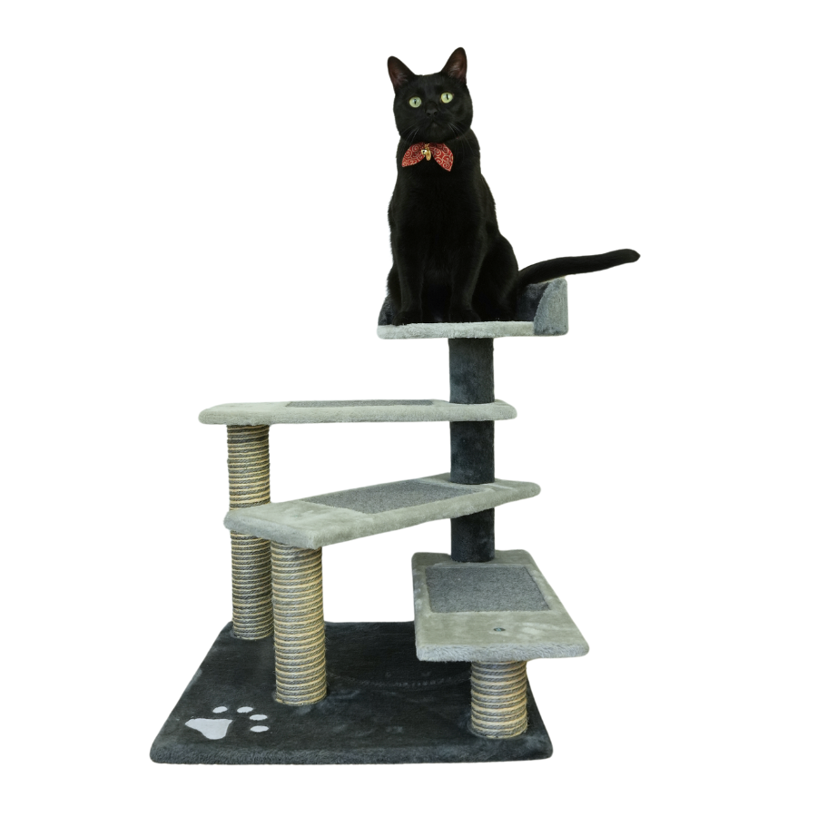 Petwiz Multi Level Pawpal Scratching Post Cat Tree