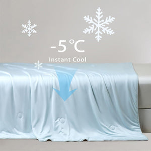 Gioia Casa Ice Cooling Reversible Summer Comforter Blanket (Blue And Grey Queen/King)