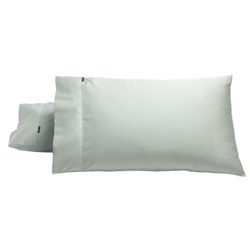 Bianca Pair Of 500Tc Cotton Sateen Standard Pillowcases Silver