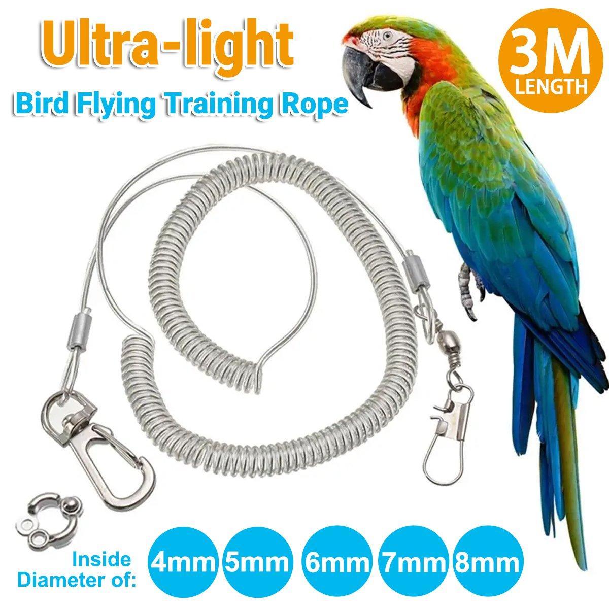 Parrot Leg Ring Anti Slip Bird Anklet Elastic Rope with Alloy Fastener ...