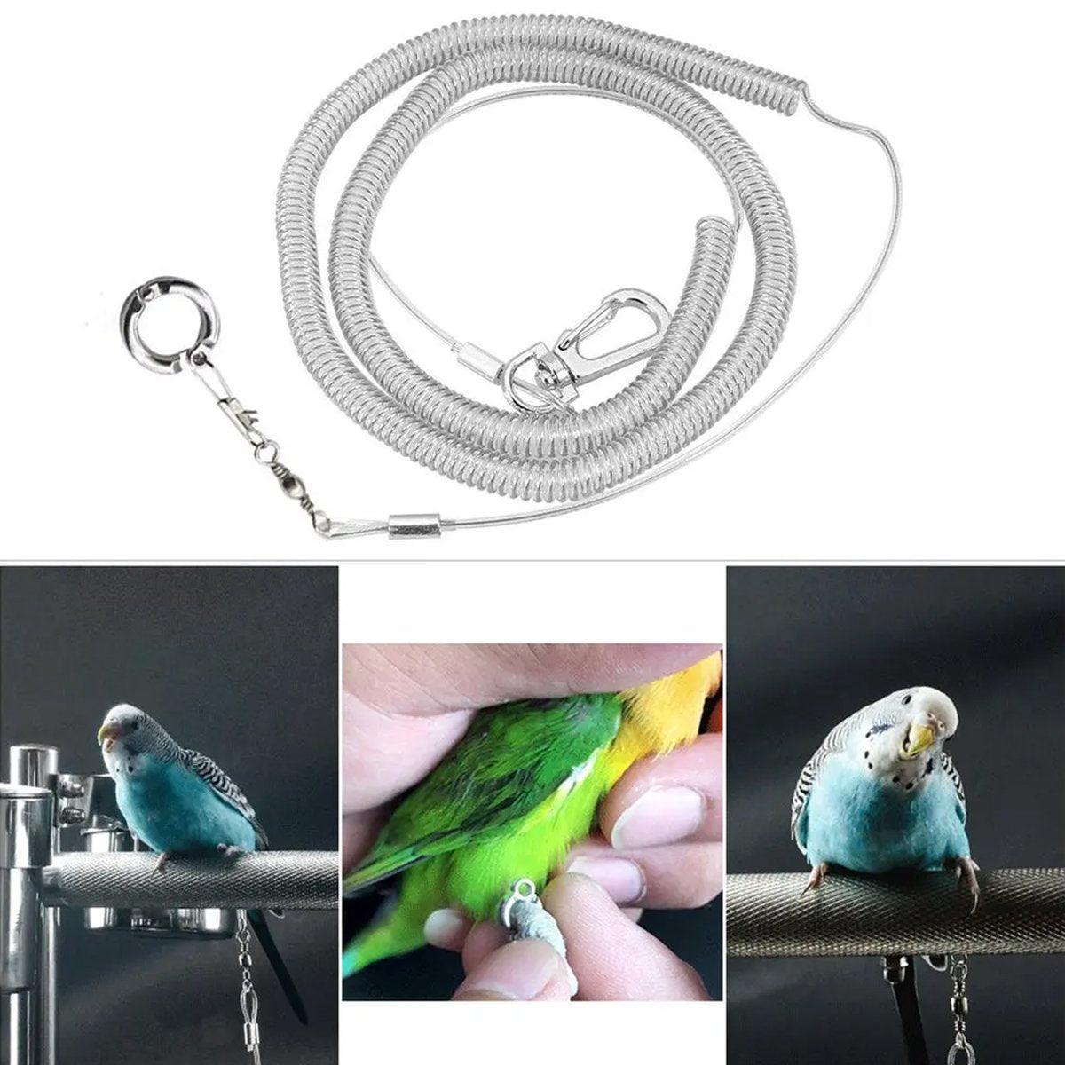 Parrot Leg Ring Anti Slip Bird Anklet Elastic Rope with Alloy Fastener ...