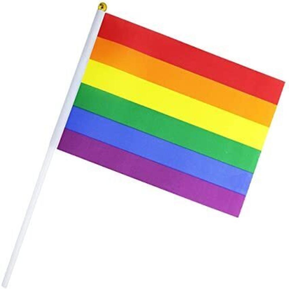 Rainbow Gay Pride Stick Flag Hand Held Mini Lgbt 1