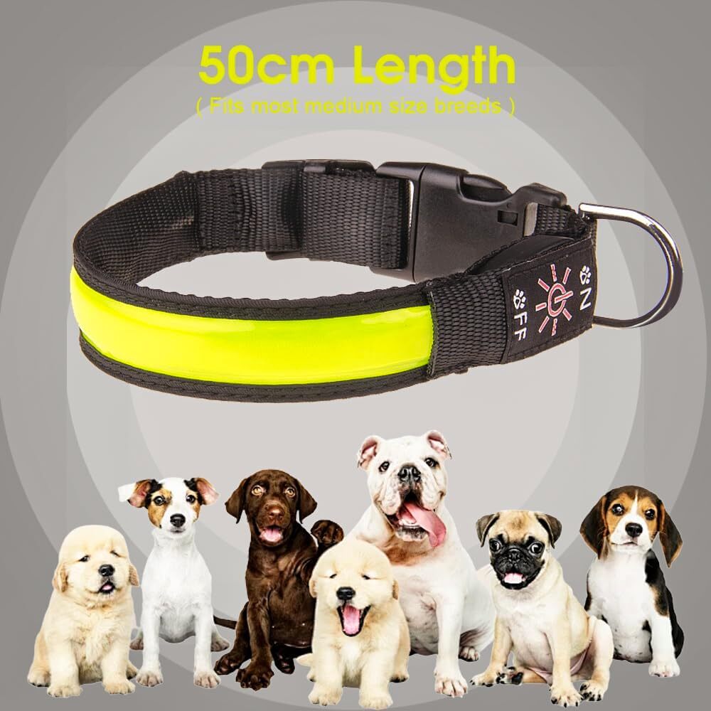 Led Dog Cat Collar Usb Rechargeable Nylon Glow Flashing Light Up Safety Puppy