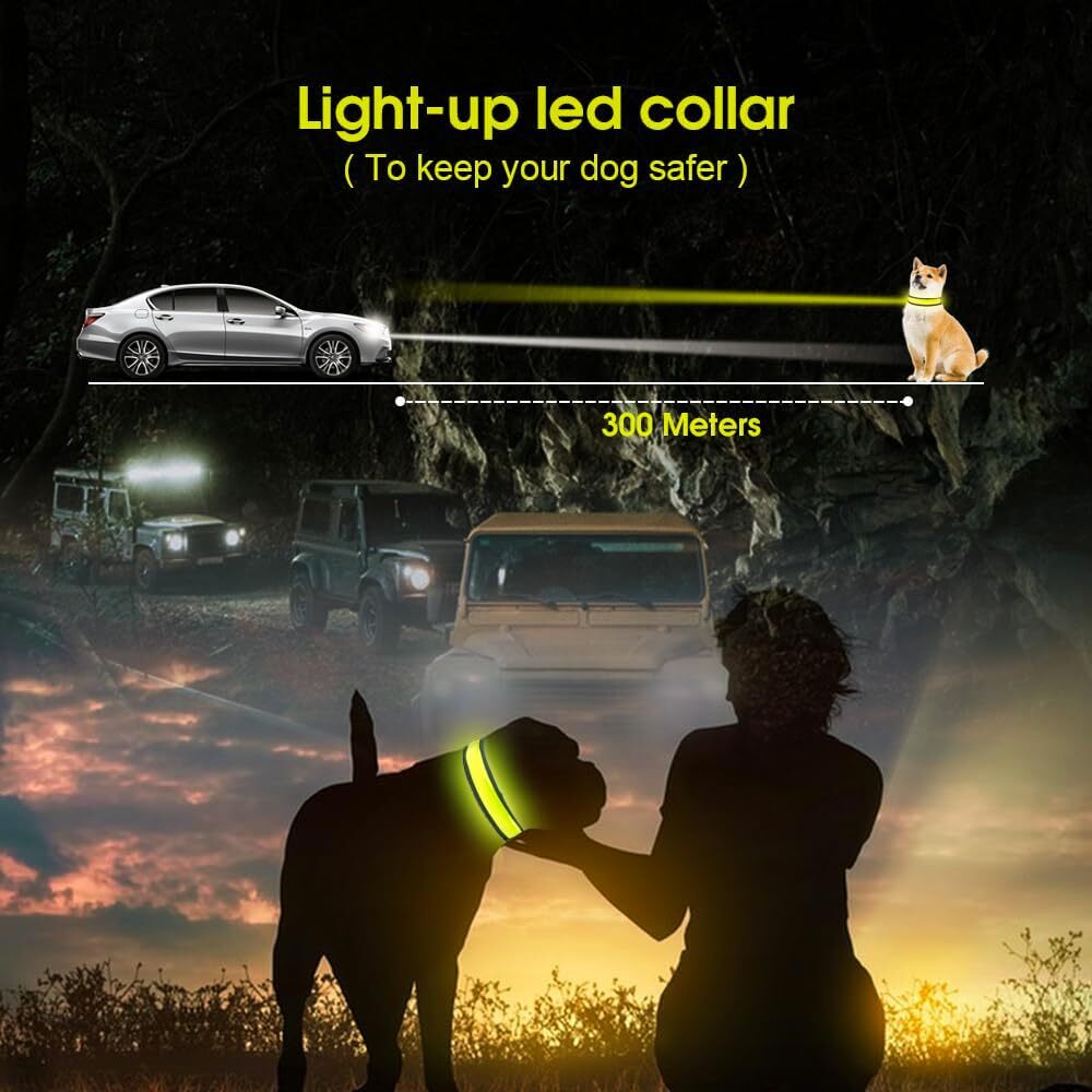 Led Dog Cat Collar Usb Rechargeable Nylon Glow Flashing Light Up Safety Puppy