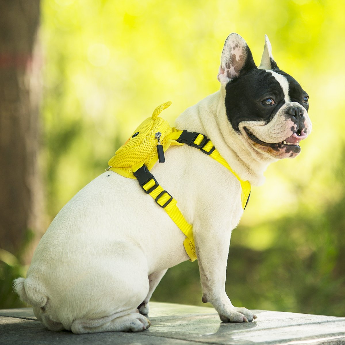 Ondoing Pet Saddle Bag Dog Harness Backpack Hiking Traveling Outdoor Bags Cute Costume (Yellow Duck With Leash Set)M