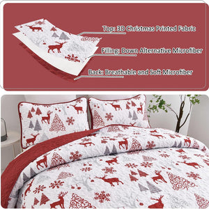 Snowflake Pattern Nordic Christmas Queen Bedspread Set