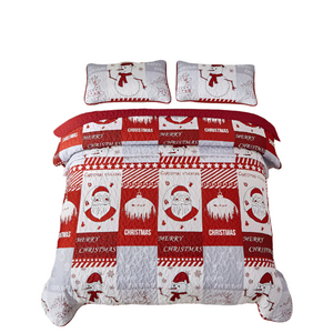 Winter Wonderland Snowman Santa Christmas Queen Bedspread Set