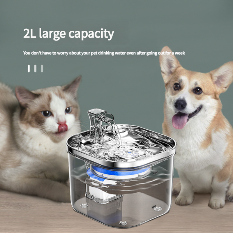 Usb Powered Pet Water Fountain With Filter Starter Kit 2L Capacity