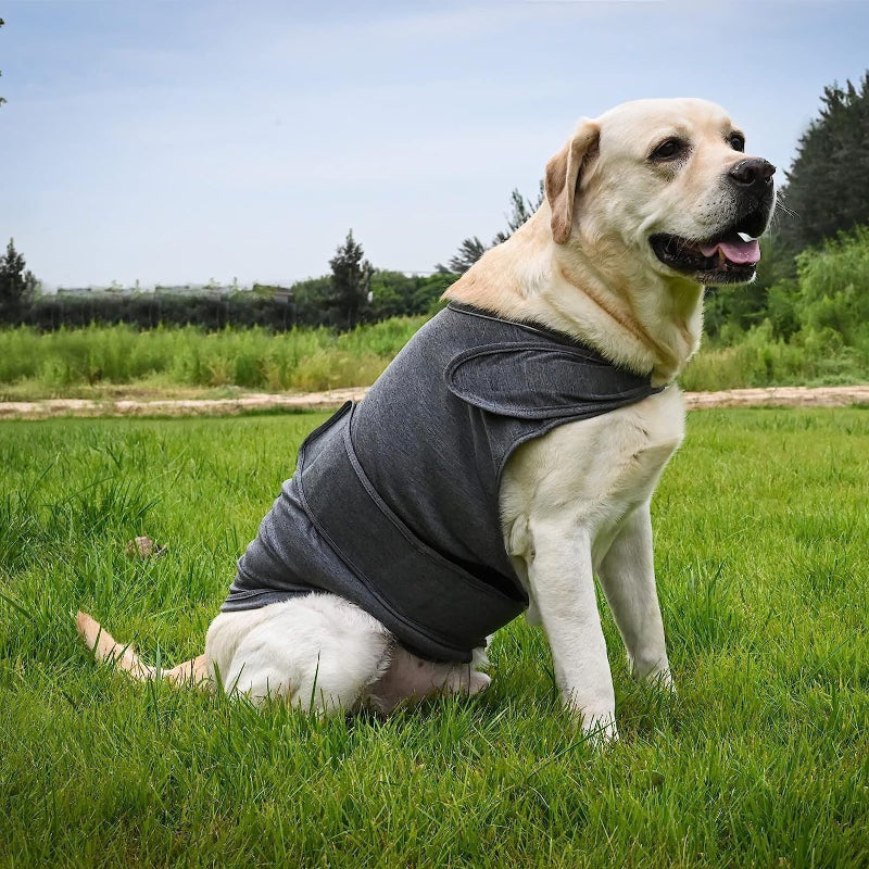 S Dog Vest Jacket Warm Soft And Comfortable Coat For Winter Calming Insulating Apparel