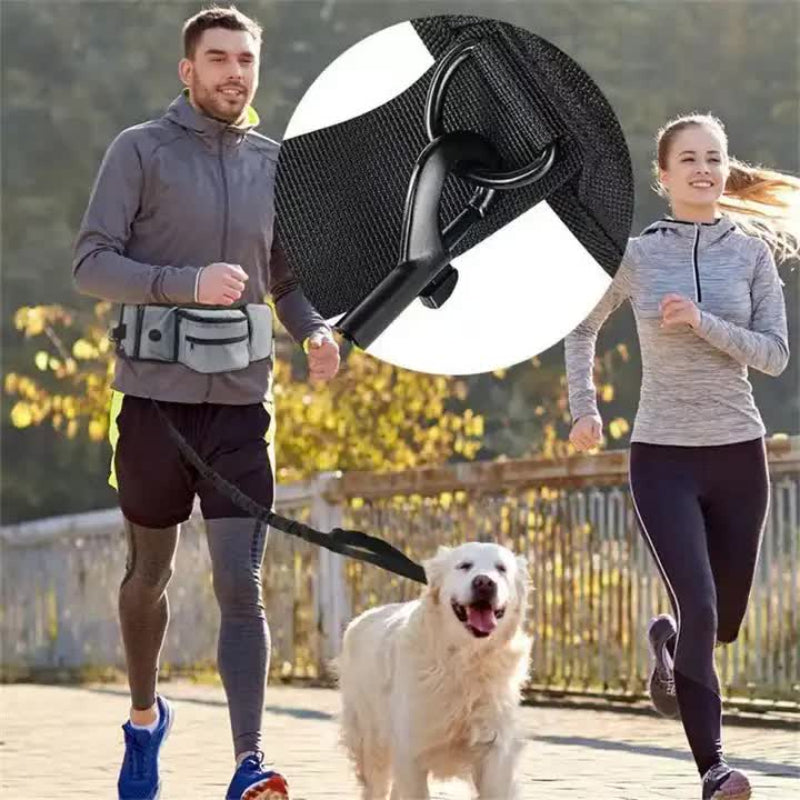 Black Portable Dog Training Bag Multi Function Pet Snack Pouch Waste Holder And Waist For Walking Outdoor Adventures