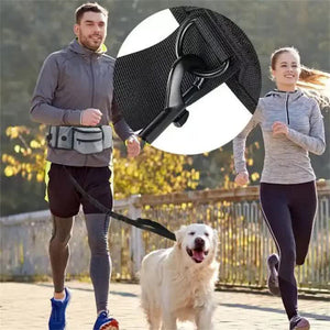 Grey Portable Dog Training Bag Multi Function Pet Snack Pouch Waste Holder And Waist For Walking Outdoor Adventures