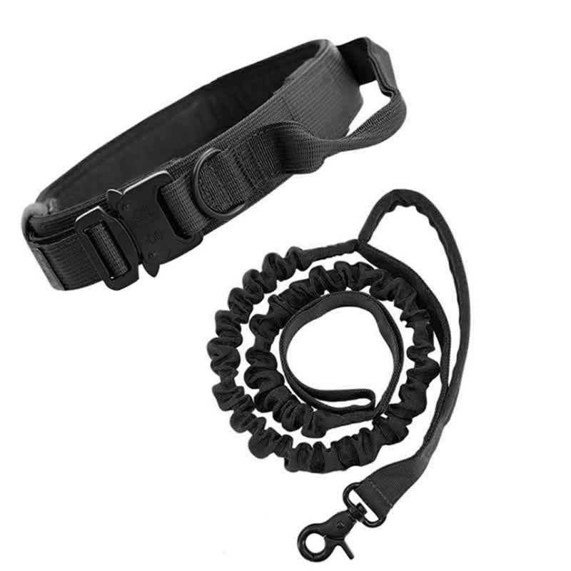 M Black Hands Free Dog Leash With Adjustable Waist Belt Shock Absorbing Bungee Lead