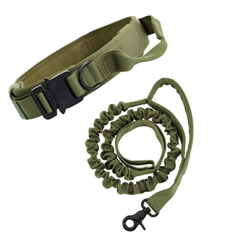 Xl Green Hands Free Dog Leash With Adjustable Waist Belt Shock Absorbing Bungee Lead