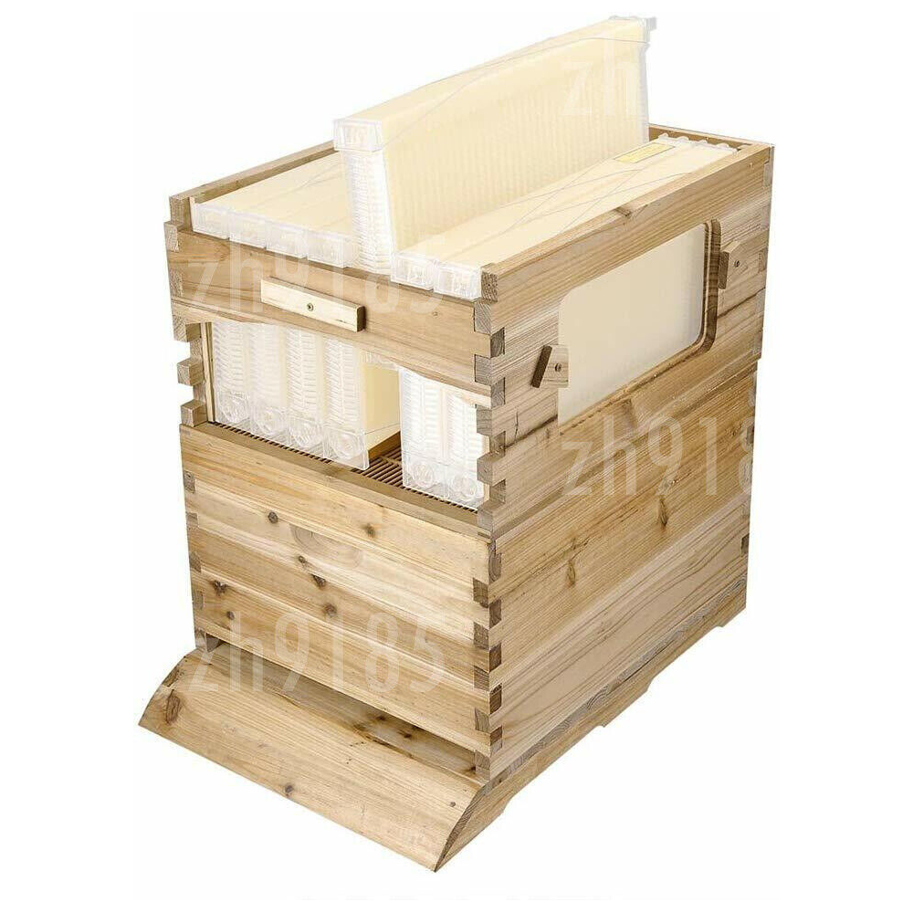 Wooden Beekeeping Beehive House +7Pcs Upgraded Auto Honey Comb Hive Frame