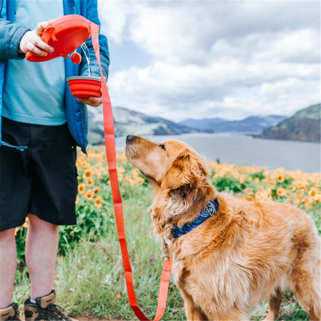 Multi Functional Dog Leash With Built In Water Bottle Bowl Waste Bag Dispenser