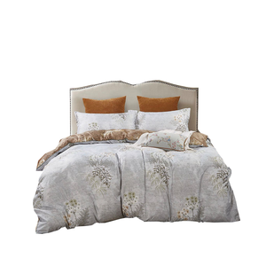 Abbotson King Size Quilt/Duvet Cover Set