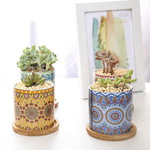 Cute Mini Mandala Succulent Nordic Colour Pot