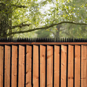 Randy & Travis Machinery 12Pc Bird Spikes Human Cat Possum Mouse Pest Control Spiked Fence Wall Deterrent