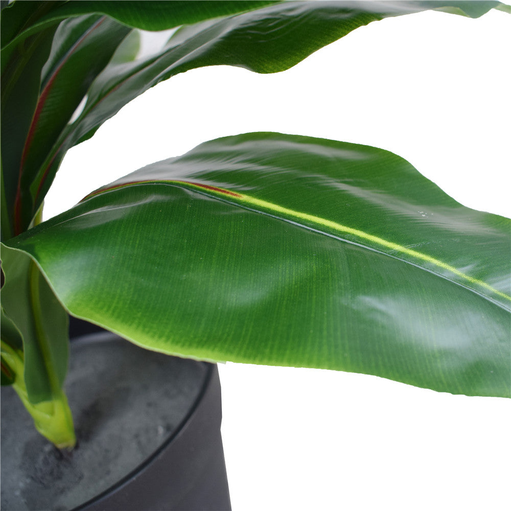 Artificial Potted Wide Leaf Birds Nest Fern 50Cm