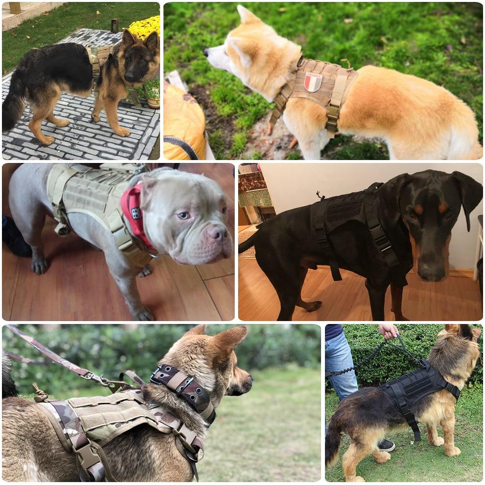 Tactical Dog Harness Vest With Handle And Bungee Leash