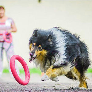 Flying Disc Dog Ring Toy