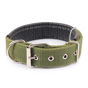 Walk Me Nylon Flat Dog Collar