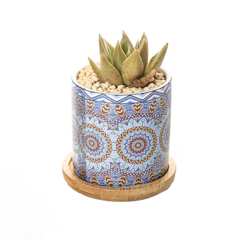 Cute Mini Mandala Succulent Nordic Colour Pot