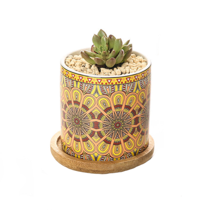 Cute Mini Mandala Succulent Nordic Colour Pot