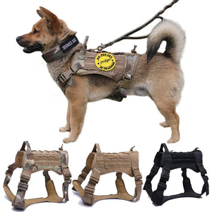 Tactical Dog Harness Vest With Handle And Bungee Leash