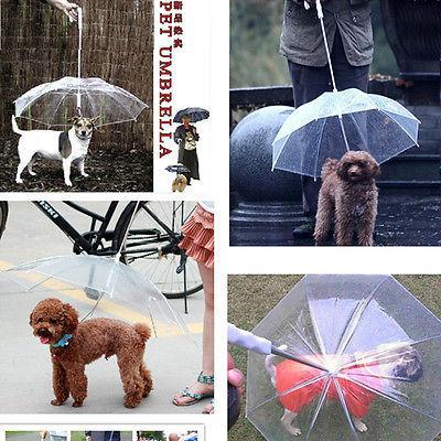 Transparent Pet Umbrella Portable Built In Leash