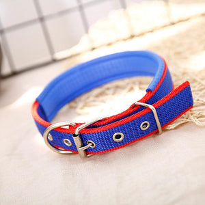 Walk Me Nylon Flat Dog Collar