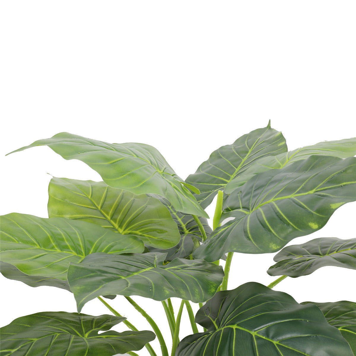 Artificial Potted Taro Plant / Elephant Ear 70Cm