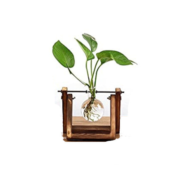 Glass And Wood Hydroponics Vase Planter Desktop Terrarium