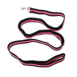 Pet Lead Large Small Dog Leash 1.2 Metre Expandable Bungee Training Rope