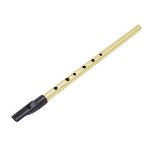 6 Hole Flute D Key Tin Penny Whistle Metal Instrument Woodwind Musical Beginners Accessories