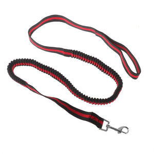 Pet Lead Large Small Dog Leash 1.2 Metre Expandable Bungee Training Rope