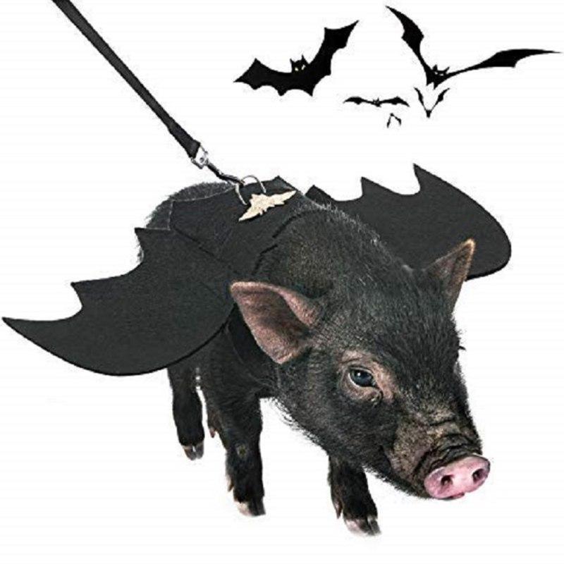 Bat Wing Halloween Dog Costume