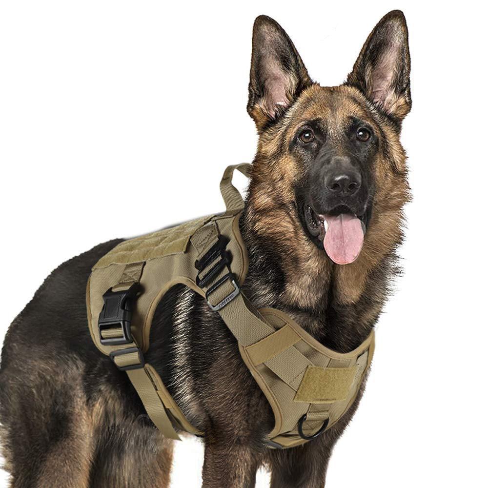 Tactical Dog Harness Vest With Handle And Bungee Leash