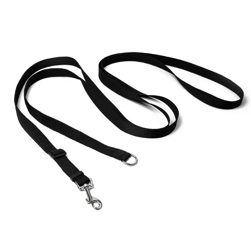 Light Nylon Dog Leash