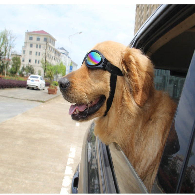 Super Cute Foldable Waterproof Goggles Uv Protection Dogs Sunglasses